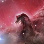 Foto del profilo di mantua giuliano