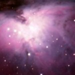 Foto del profilo di agostino marinucci