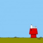 Foto del profilo di Gilas Chin