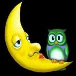 Foto del profilo di Margherita Cavazzoni