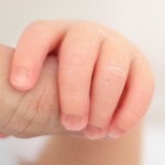 Foto del profilo di Riccardo Menichetti