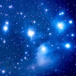 Foto del profilo di Stefano Lanzoni