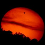 Foto del profilo di Francesco Allegretti