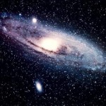 Foto del profilo di sara garino