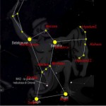 Foto del profilo di Filippo Famiglietti