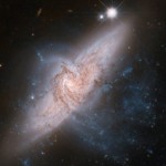 Foto del profilo di alberto nizzoli