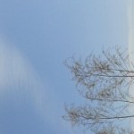 Foto del profilo di paolo Vergano