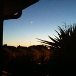 Foto del profilo di Asia Incipini