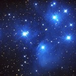 Foto del profilo di Andrea Cosmos