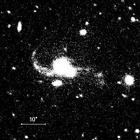 Quasar binari e incontri di galassie