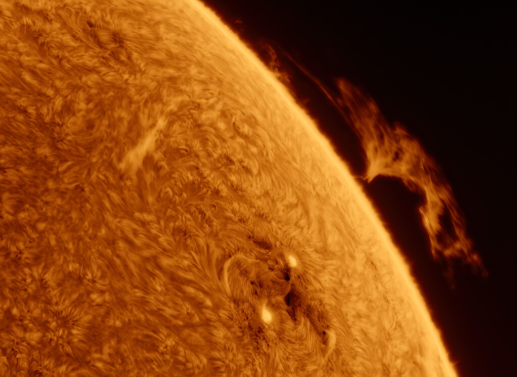 AR4007 & Hedgerow prominence