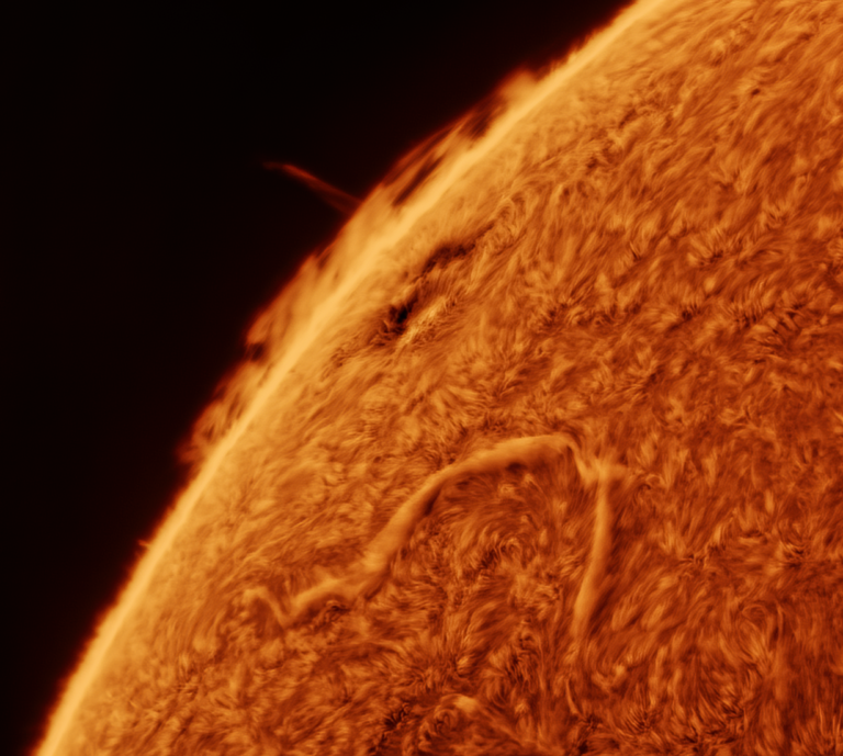 The Sun: AR & Prominences