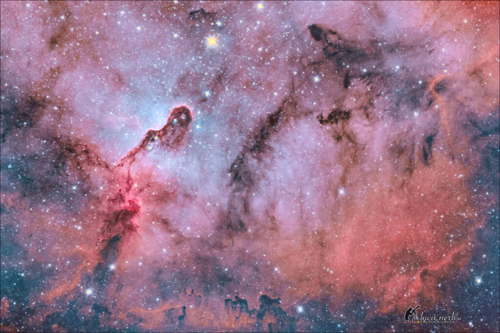 IC1396 Proboscide d’Elefante