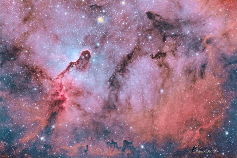 IC1396 Proboscide d’Elefante