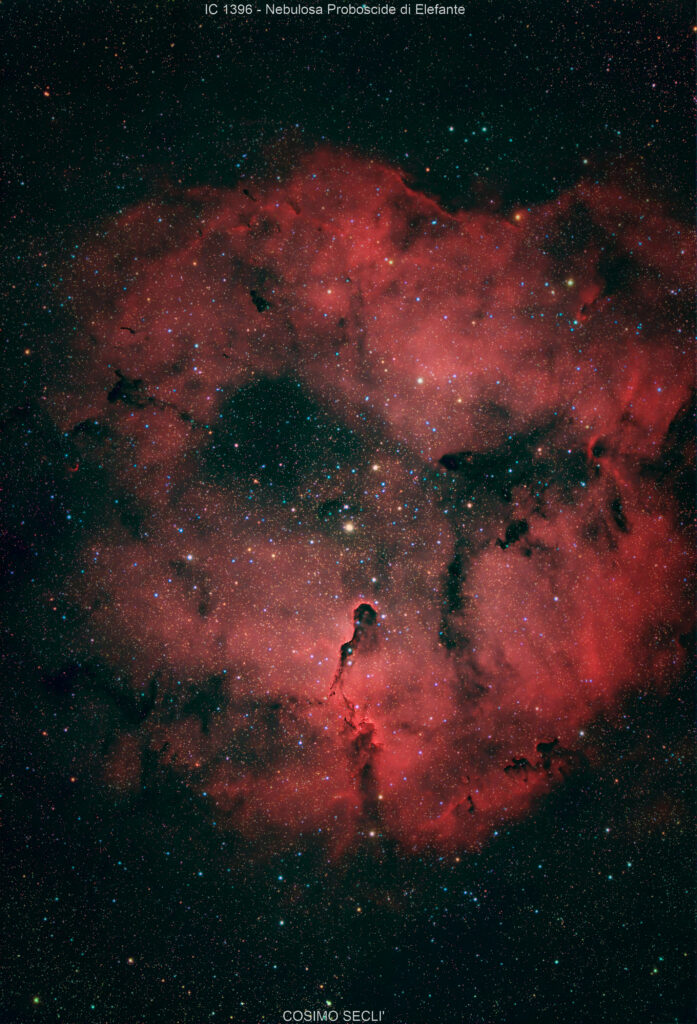 IC 1396 – NEBULOSA PROBOSCIDE DI ELEFANTE