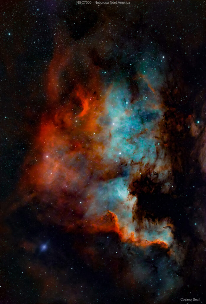 NGC 7000- NEBULOSA NORD AMERICA
