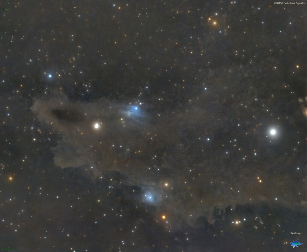 VdB150 nebulosa Squalo nel Cepheo