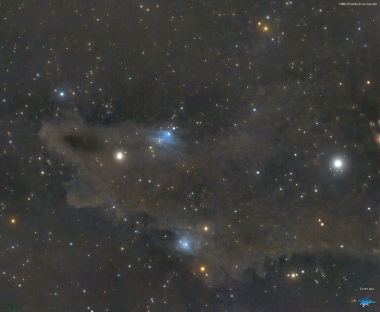 VdB150 nebulosa Squalo nel Cepheo