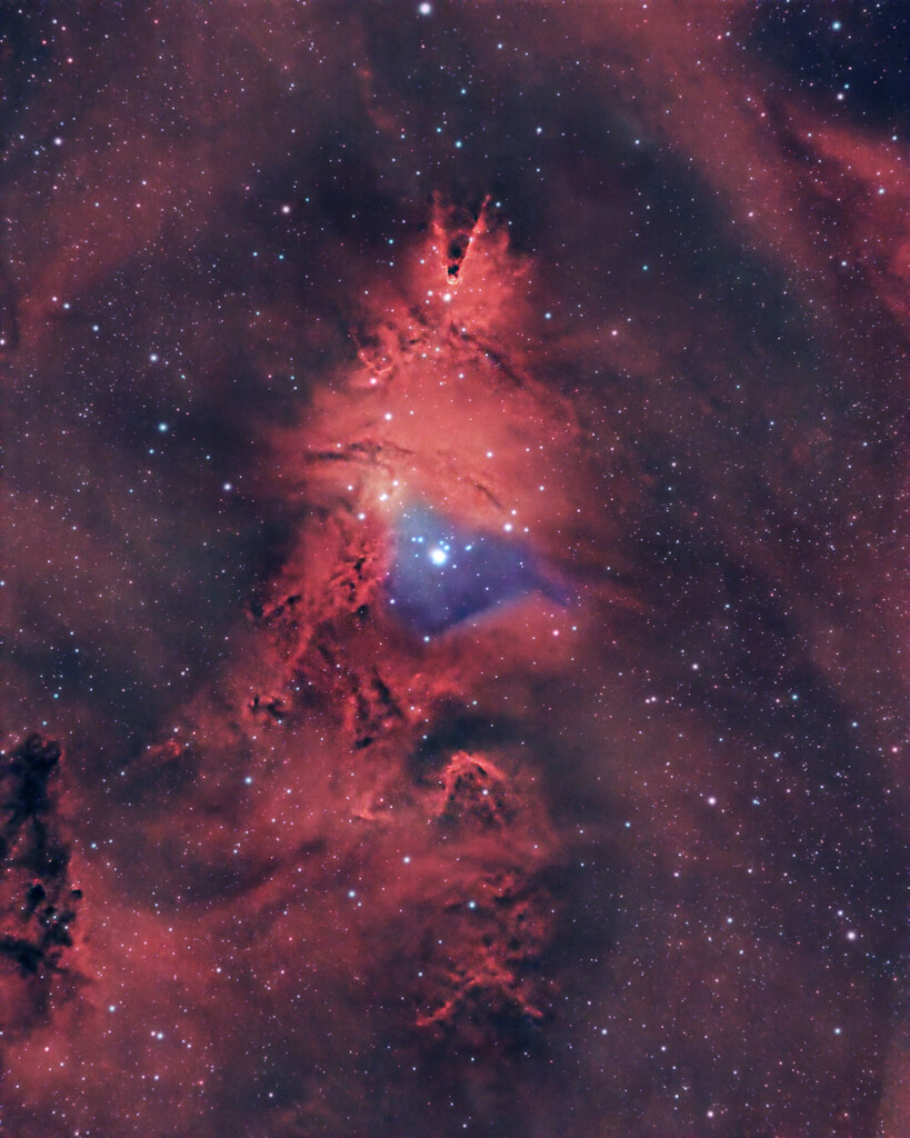 NEBULOSA CONO E ALBERO DI NATALE (NGC 2264)