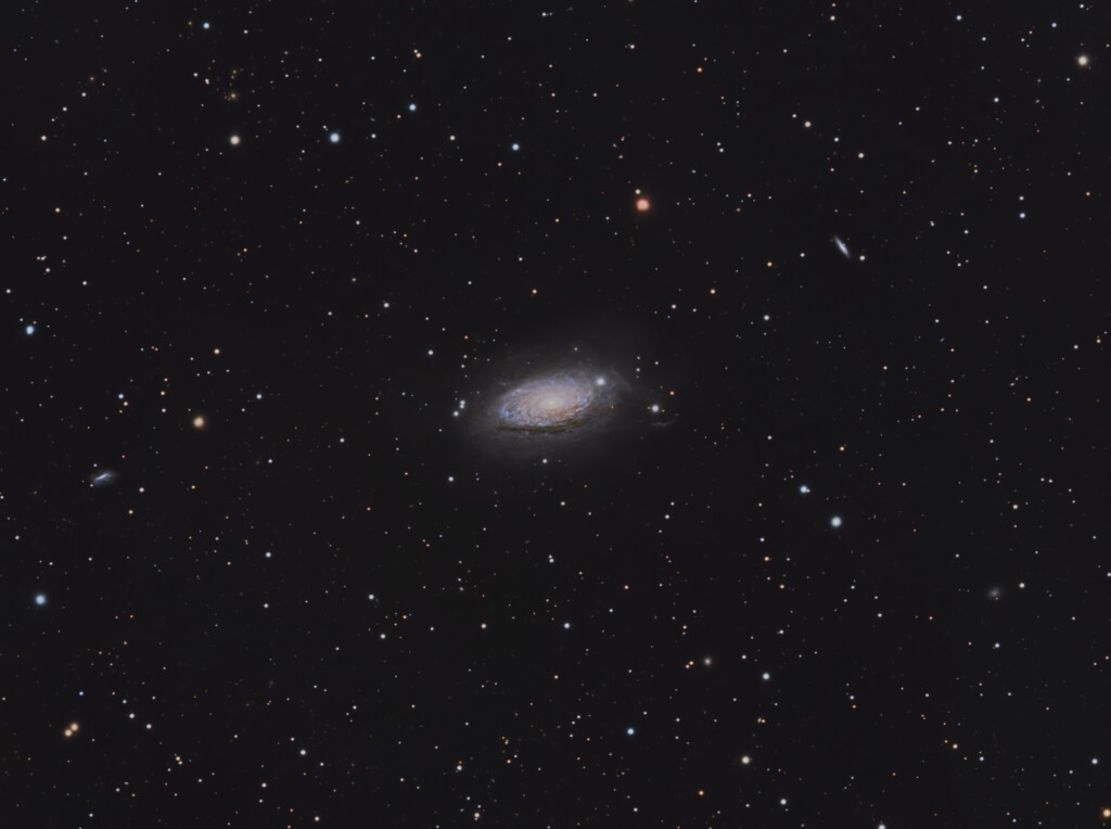 SunFlower Galaxy