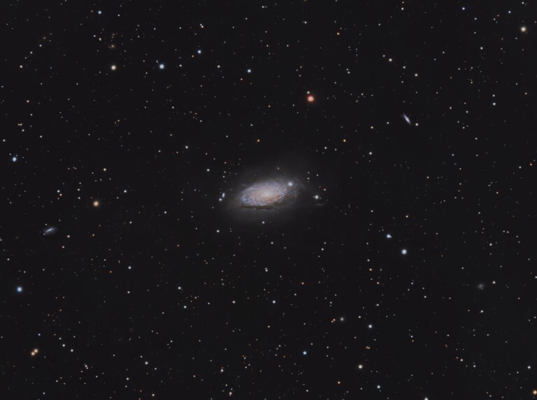 SunFlower Galaxy
