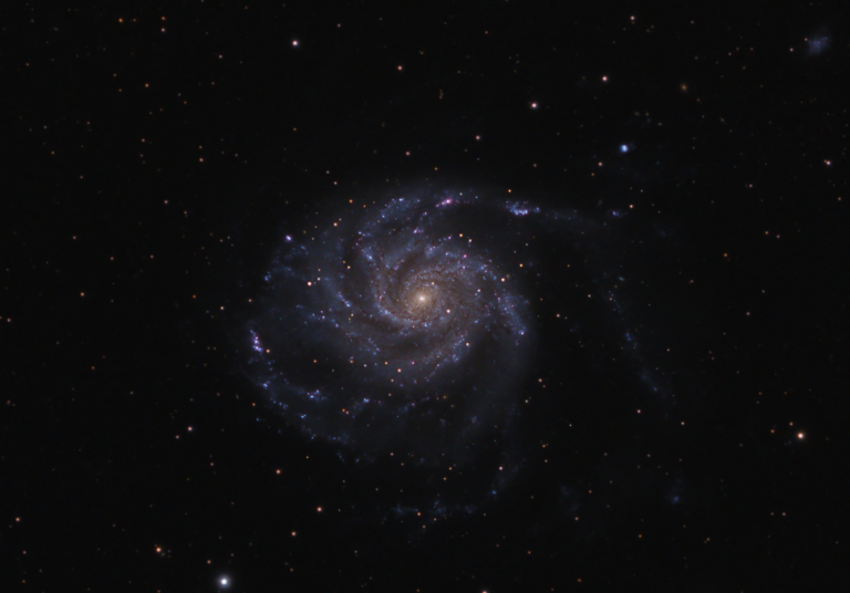 M101