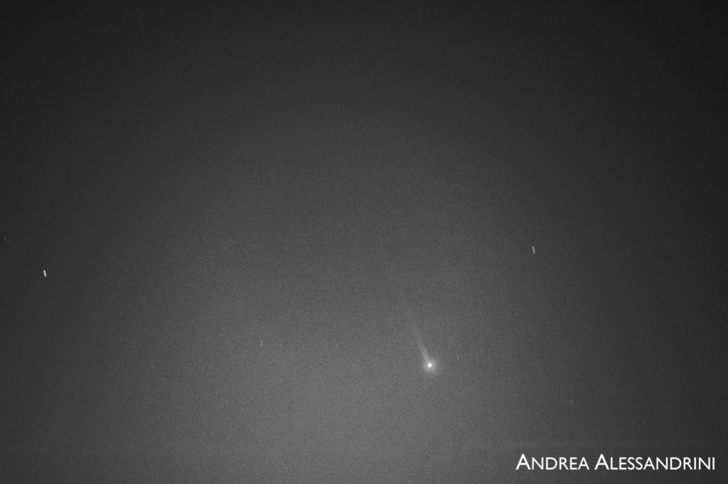 Coda di sodio di Mercurio