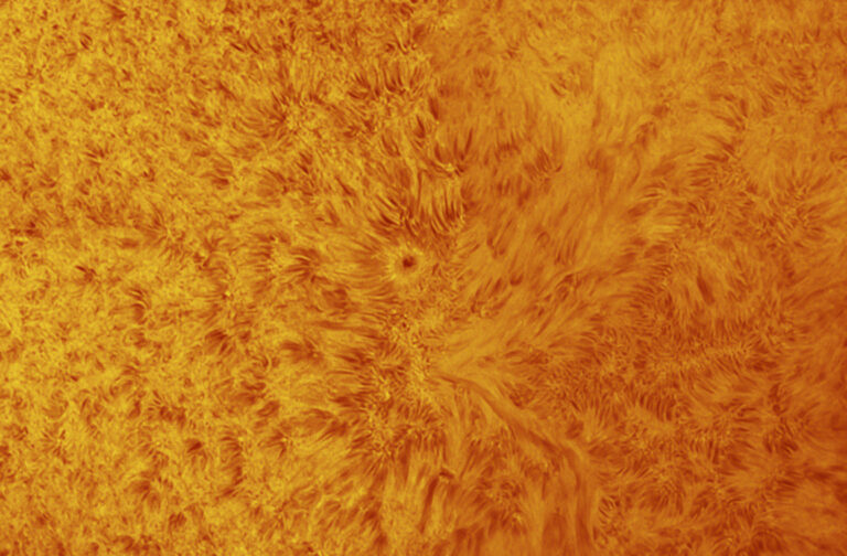 Sole in H-alpha – 29 aprile 2017 – particolare