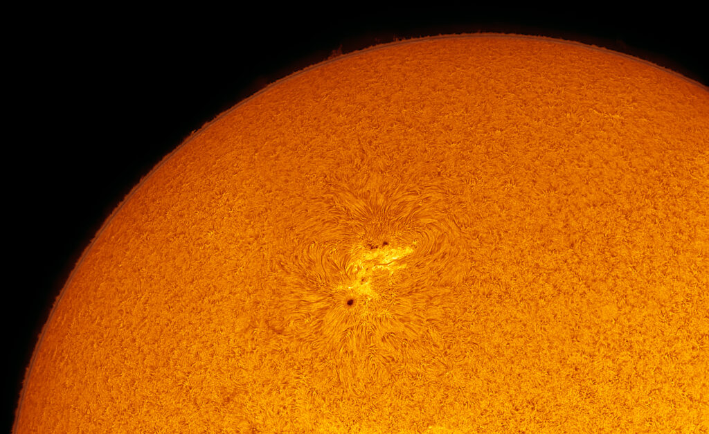 Il Sole in H-Alpha il 7 novembre 2020