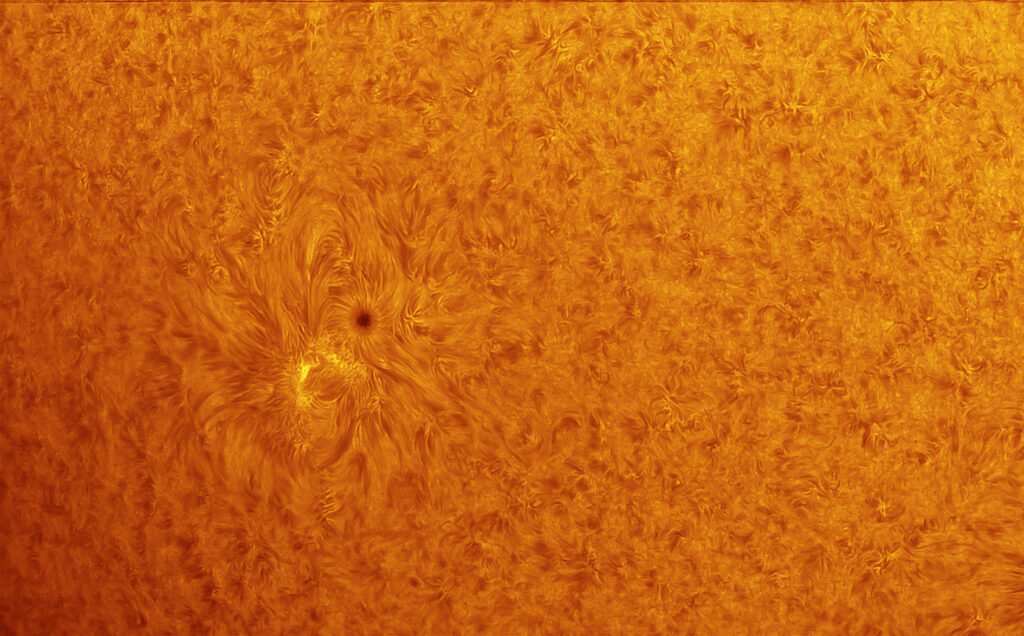 Sole in H-Alpha – AR 2770