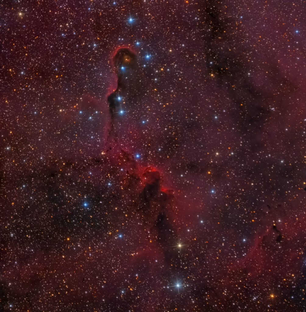 La Nebulosa Proboscide d’Elefante – vdB 142