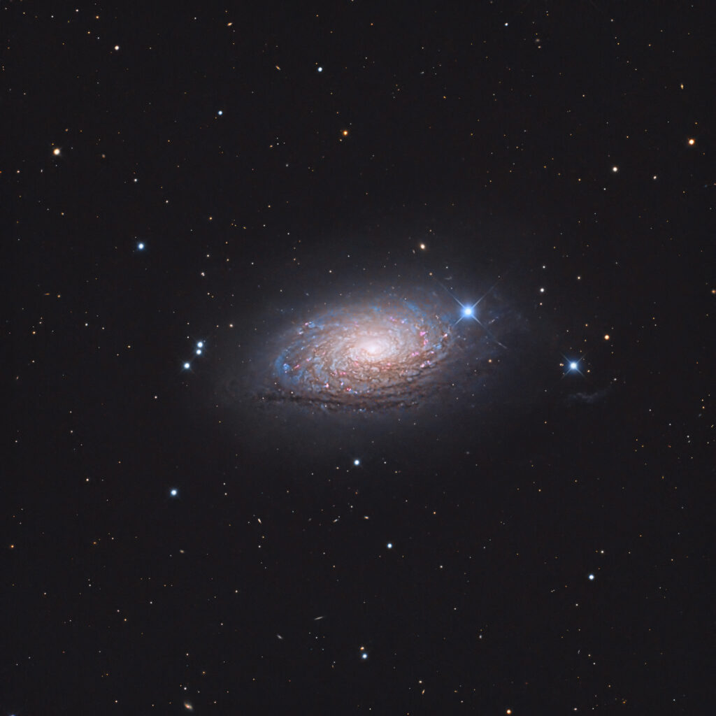 M63 Galassia Girasole