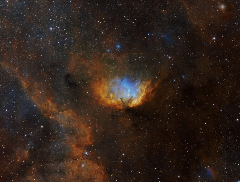 La nubulosa Tulipano e il buco nero Cygnus X-1