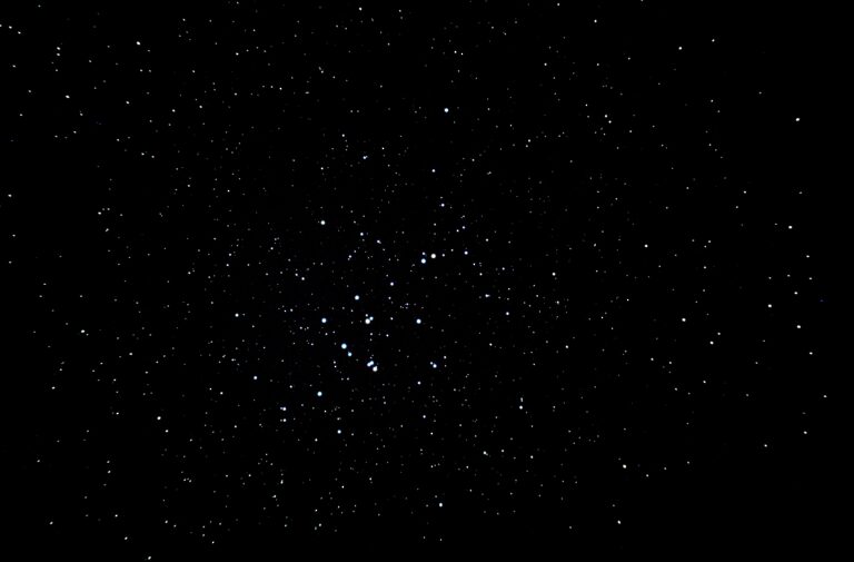 M 44