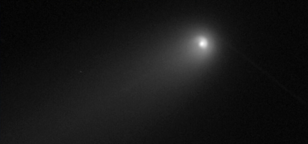 Cometa C /2020 f3 Neowaise