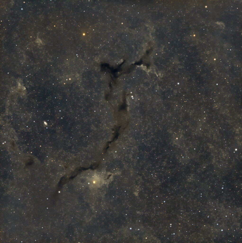 Un cavalluccio marino cosmico