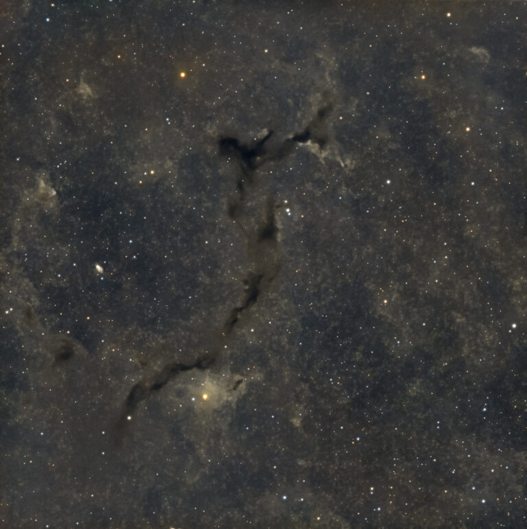 Un cavalluccio marino cosmico