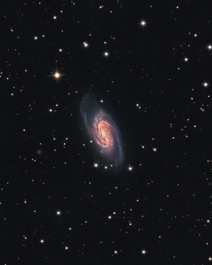 NGC2903 nel Leone