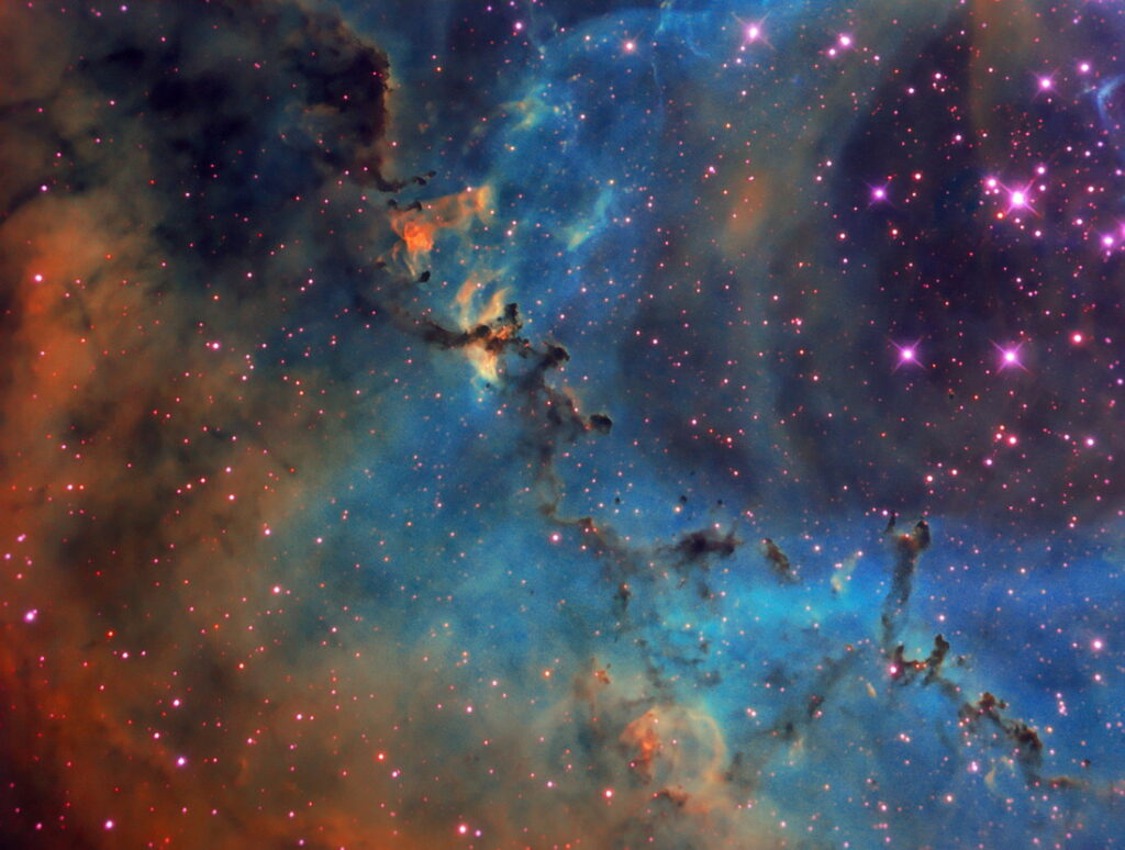 Nebulosa Rosetta (NGC2237)