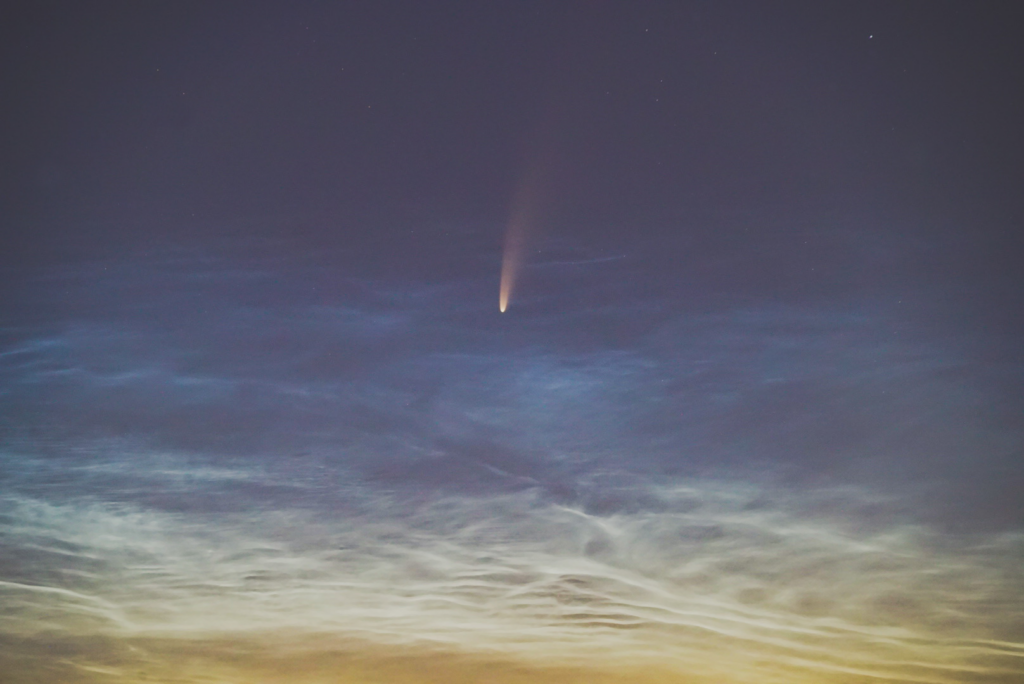 Cometa Neowise C/2020 F3