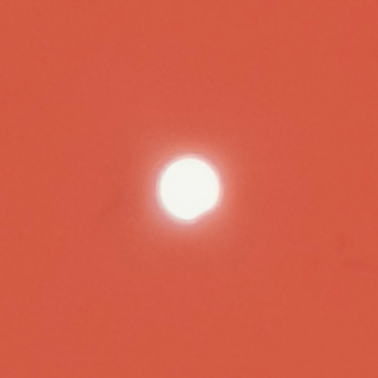 Eclisse in proiezione stenopeica