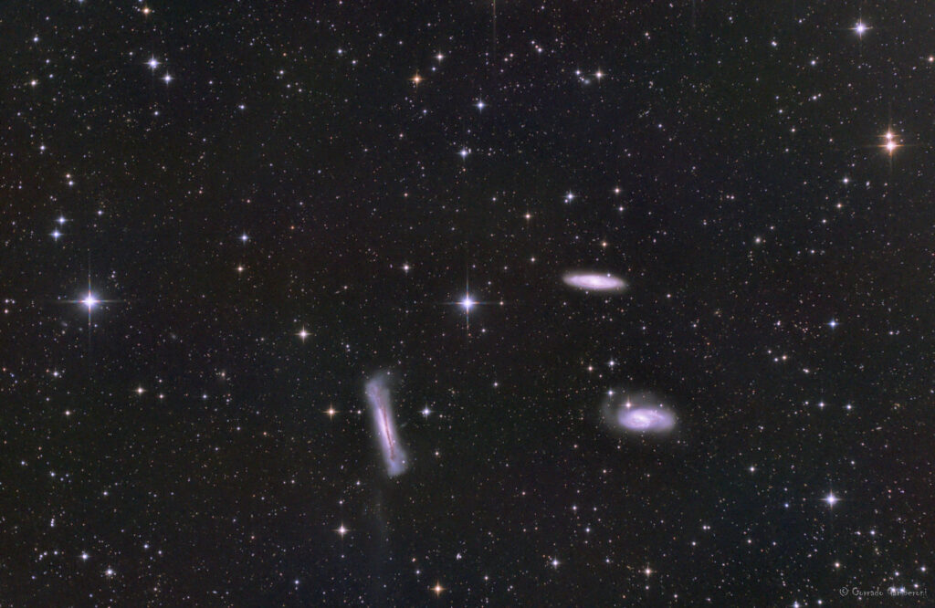 Leo Triplet