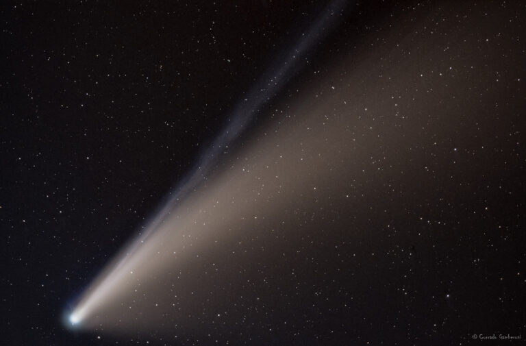 C/2020 F3 Neowise