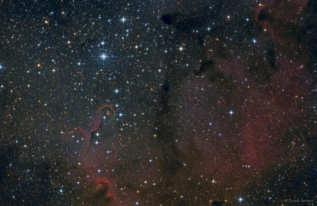 vdB 142 – Nebulosa Proboscide di Elefante