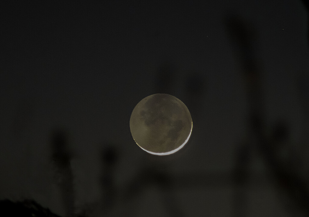 Luna crescente in fase 2,7% (32 ore)