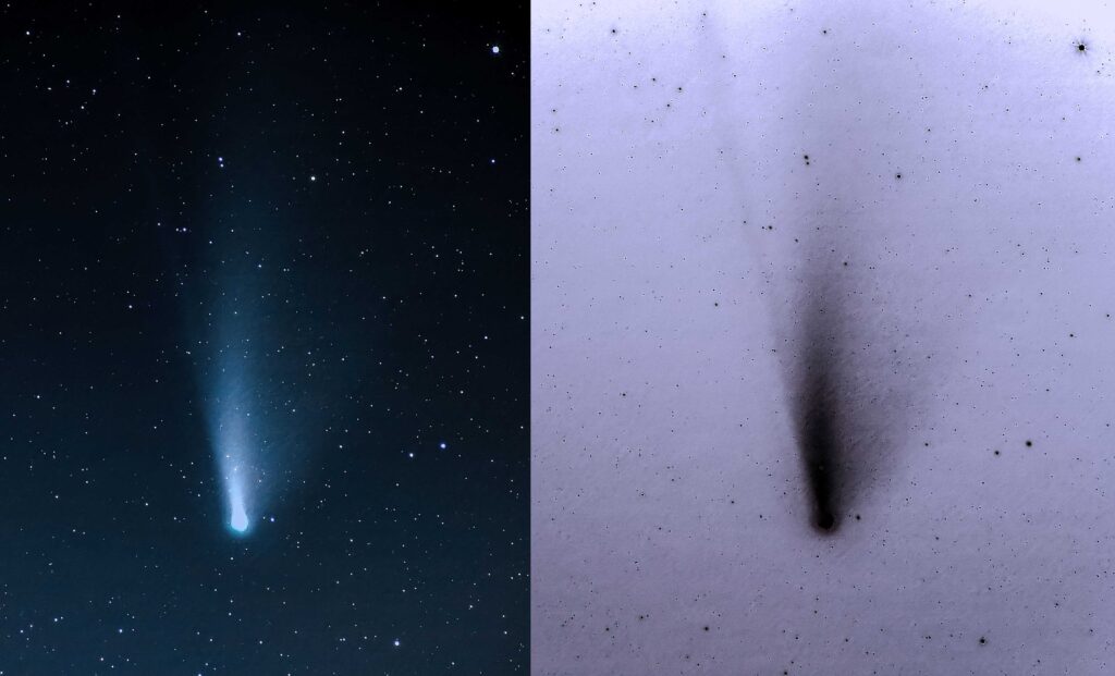 Cometa C2020 F3 Neowise