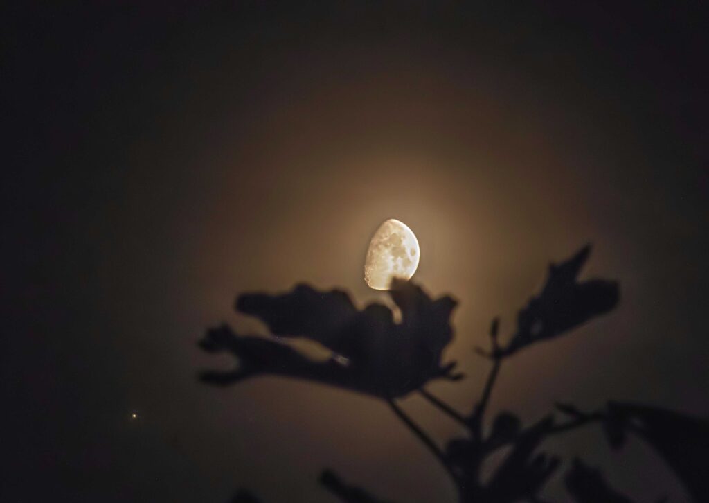 Congiunzione Luna Giove