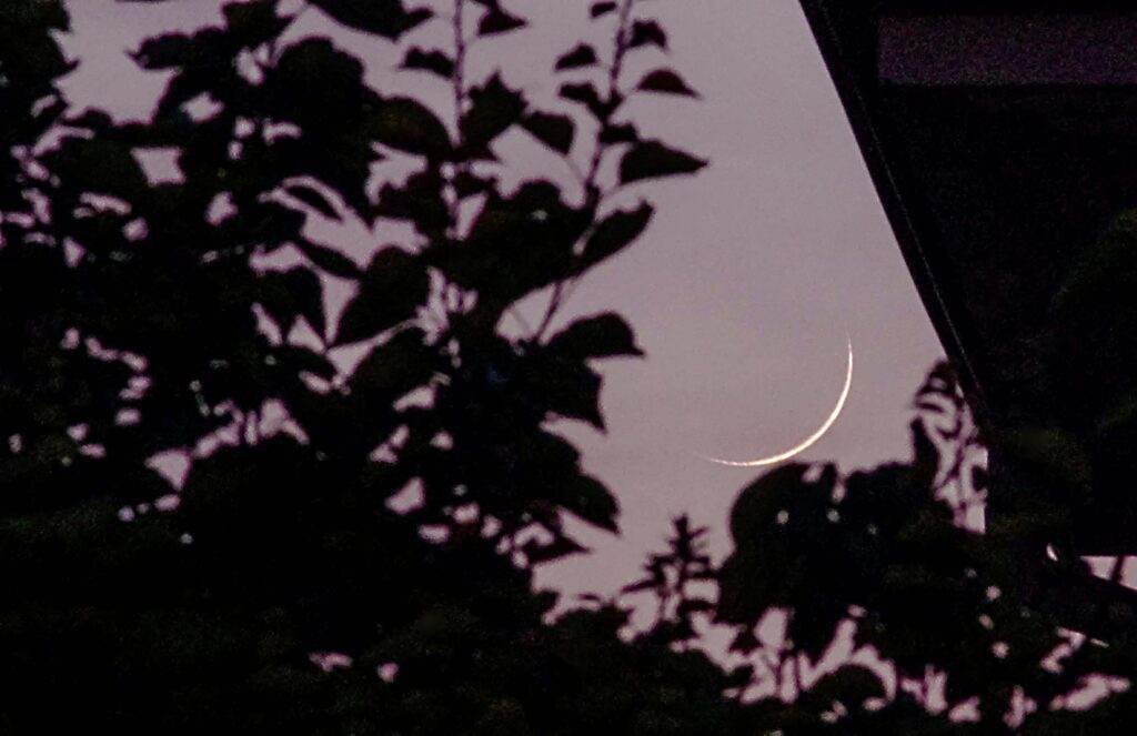 Piccola falce di Luna in fase 2,6%