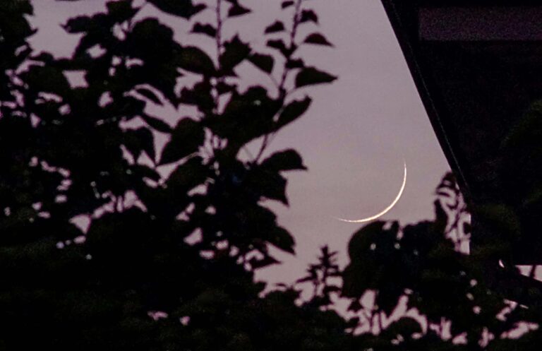 Piccola falce di Luna in fase 2,6%