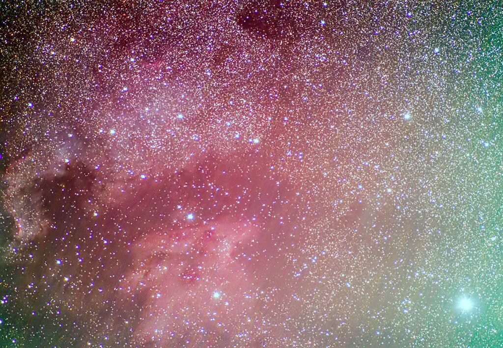 Deneb, Nord America e Pellicano